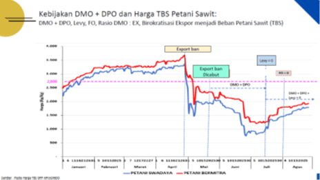 Dampak DMO-DPO