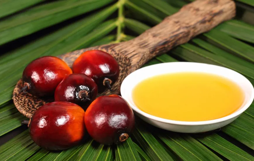 minyak kelapa sawit