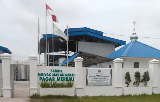 Pabrik Minyak Makan Merah di PTPN II di Pagar Merbau Sumatera Utara PENGEMBANGAN MINYAK MAKAN MERAH BERBASIS KOPERASI PETANI SEBAGAI SOLUSI PENGUATAN SAWIT RAKYAT DAN PENINGKATAN SOCIAL WELFARE (2023) Pabrik Minyak Makan Merah di PTPN II di Pagar Merbau Sumatera Utara