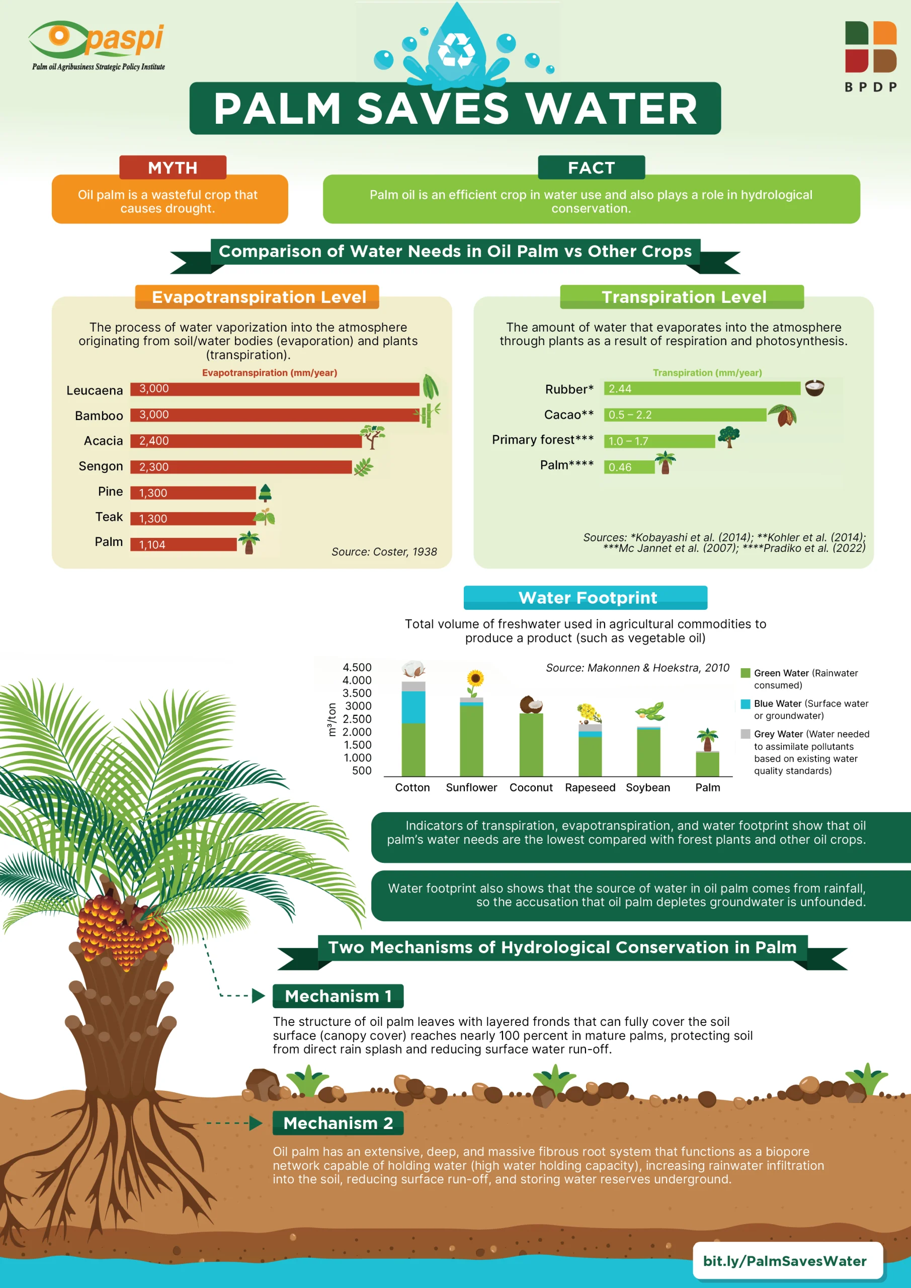 Palm oil is a water-efficient crop illustration